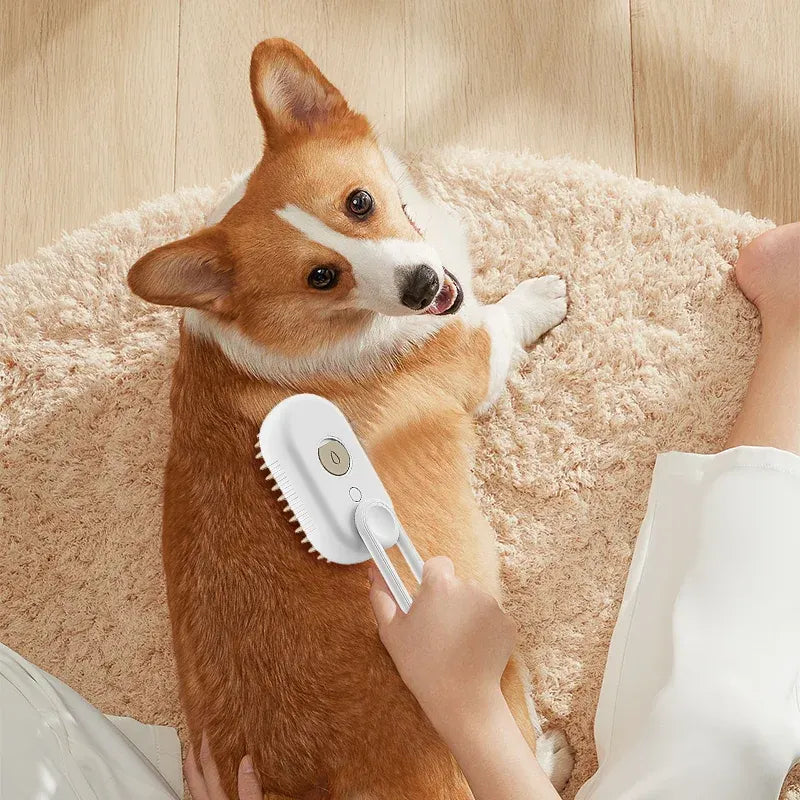 3-in-1 Steam Pet Grooming Brush