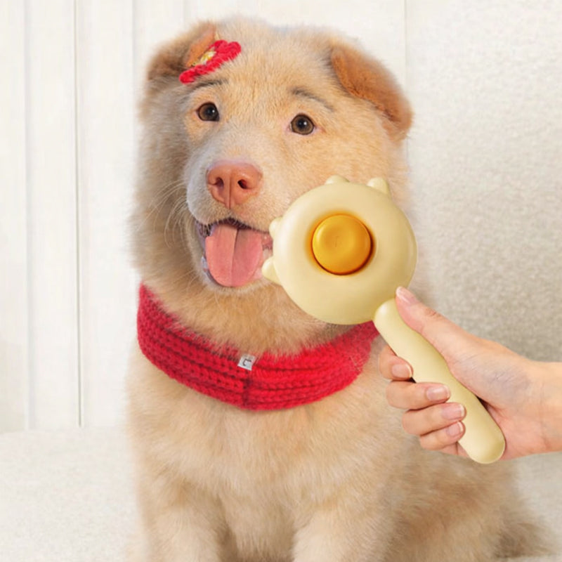 Pet Grooming Needle Comb for Cats & Dogs